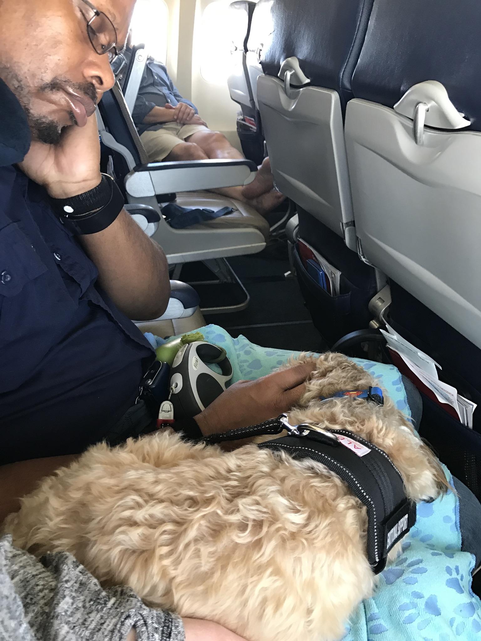Southwest Airlines Pet Travel Policy