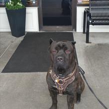 Ippolito's Neighborhood Italian restaurant view 1