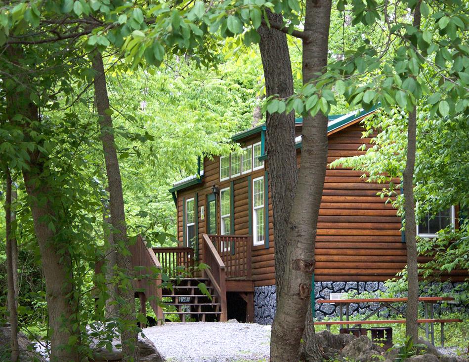 Yogi Bear's Jellystone Park Pet Policy