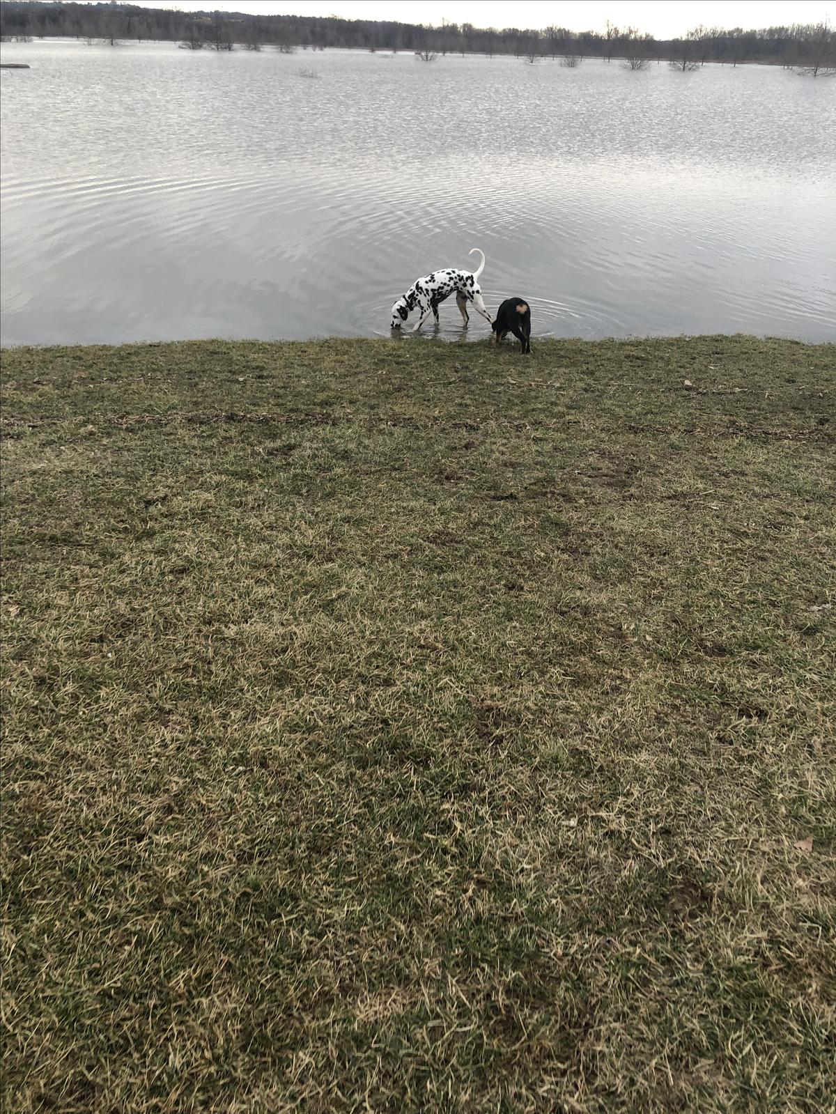 Checking out a new park
