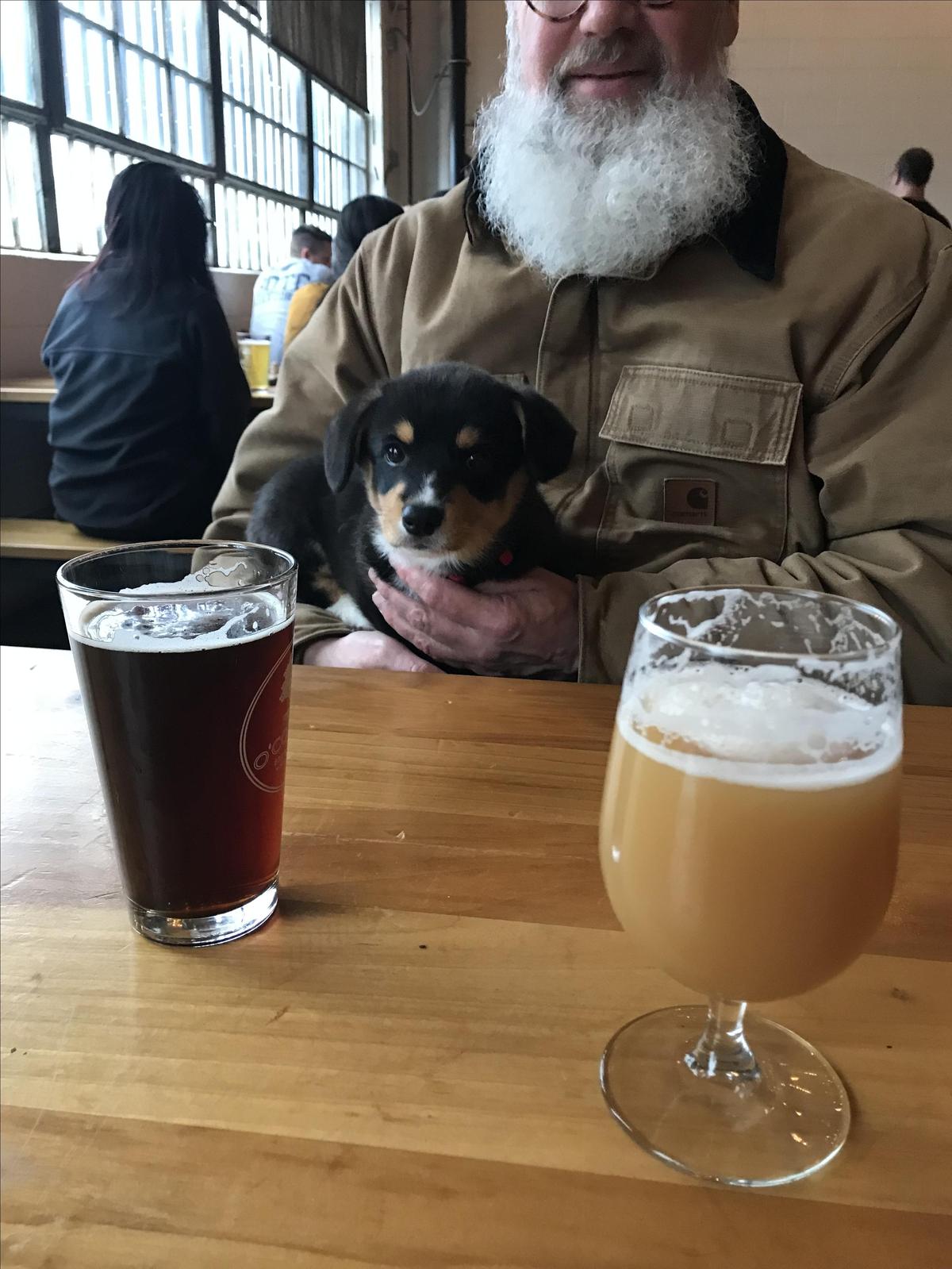 O'Connor Brewing Company restaurant view 2