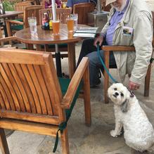 Altdorf Biergarten restaurant view 10