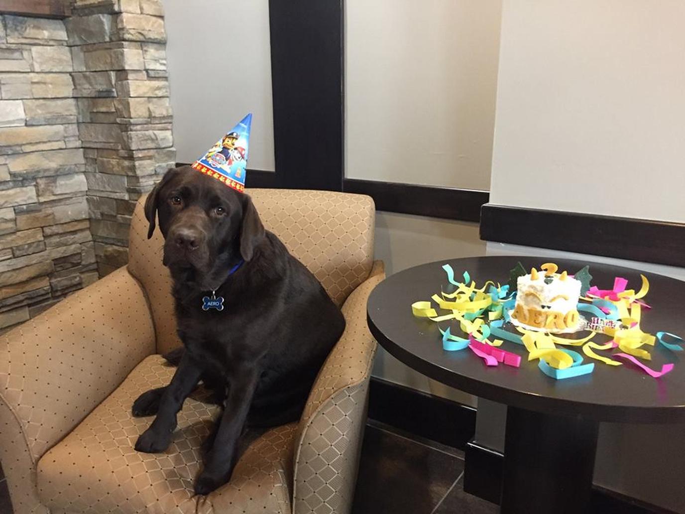 This pet-friendly Best Western has one employee who will go the extra paw for you.
