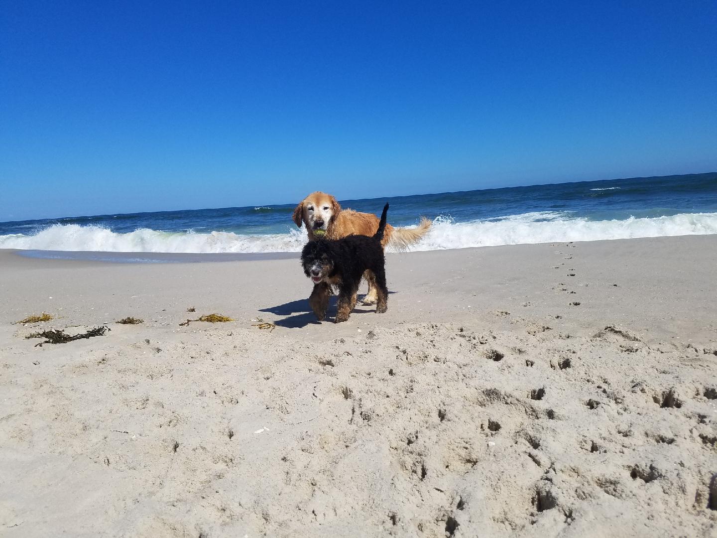 Island Beach State Park