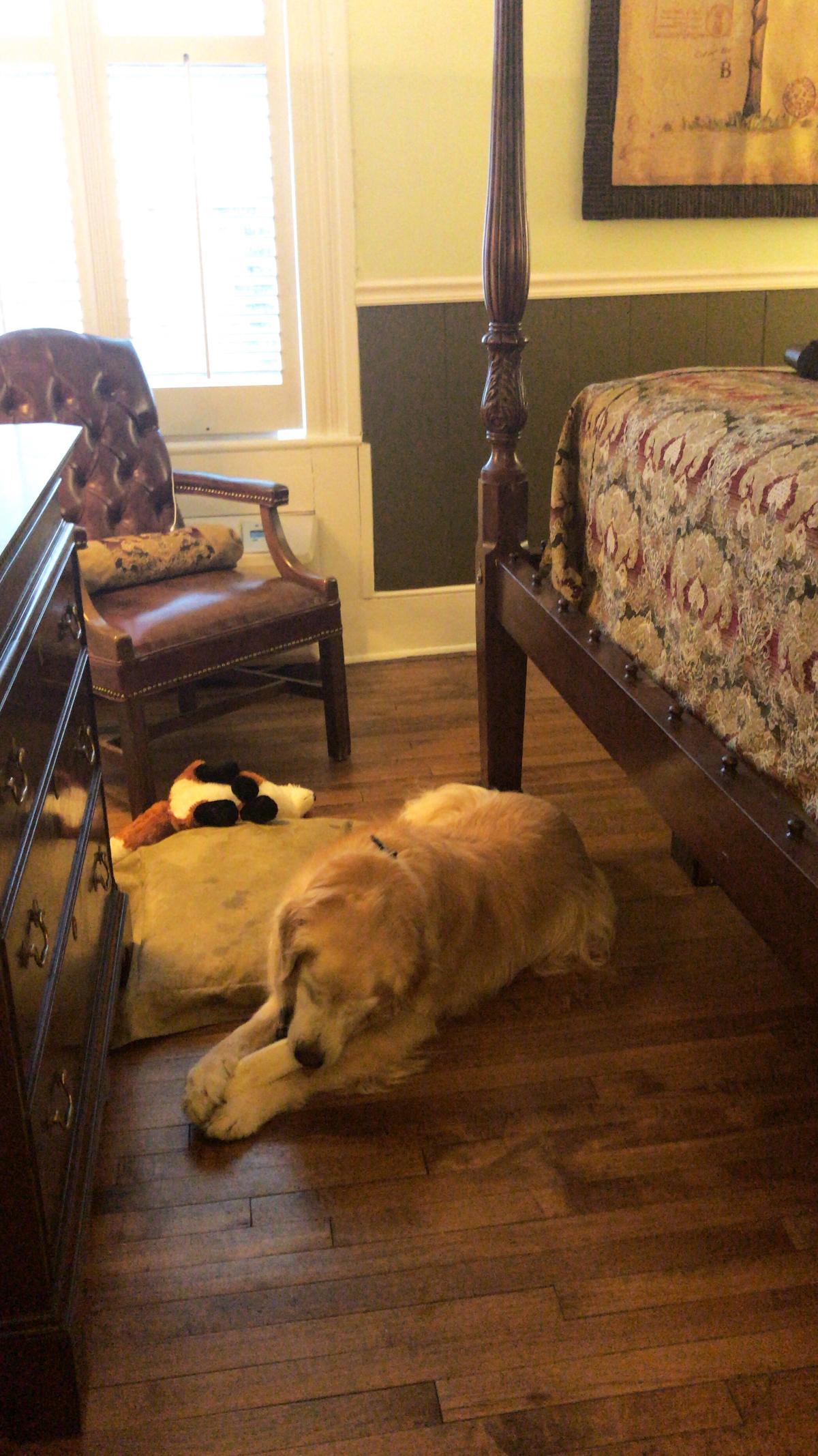 Bentley at the Biltmore