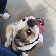 Buckhorn BBQ restaurant view 1