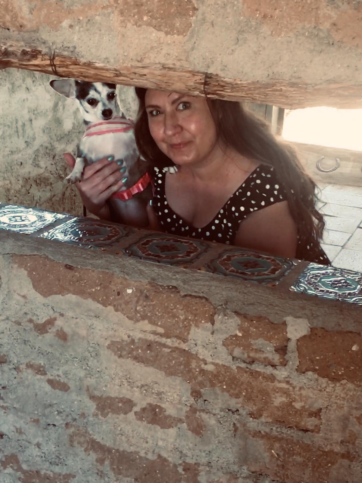 Cookie Explores The Buildings