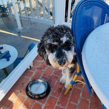 The Cliff restaurant view 8