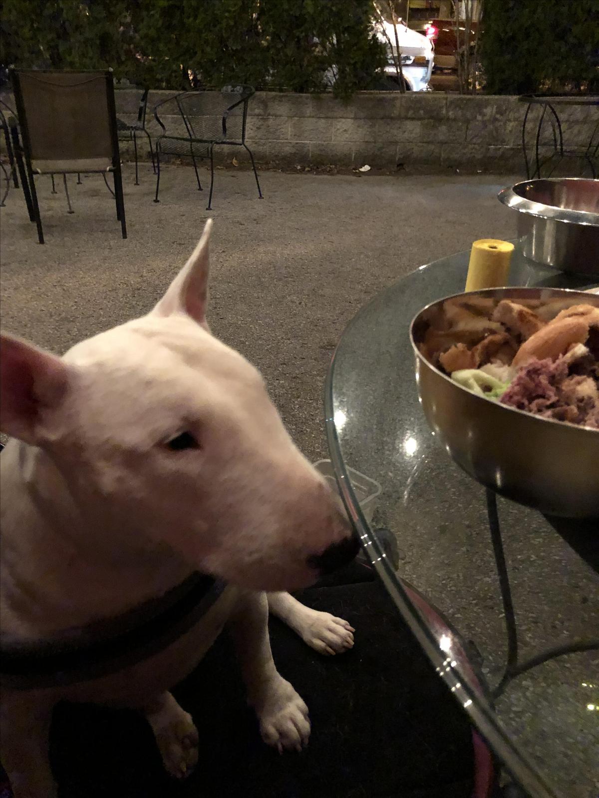 CHAR Steakhouse restaurant view 2