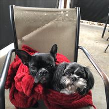 Big Whiskey's restaurant view 2