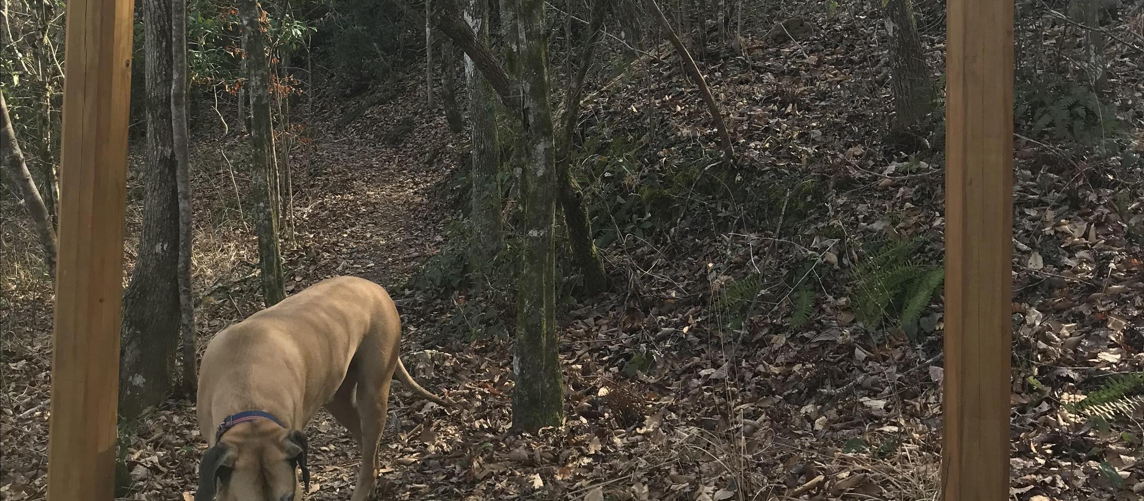 Dog Friendly Tallassee, AL