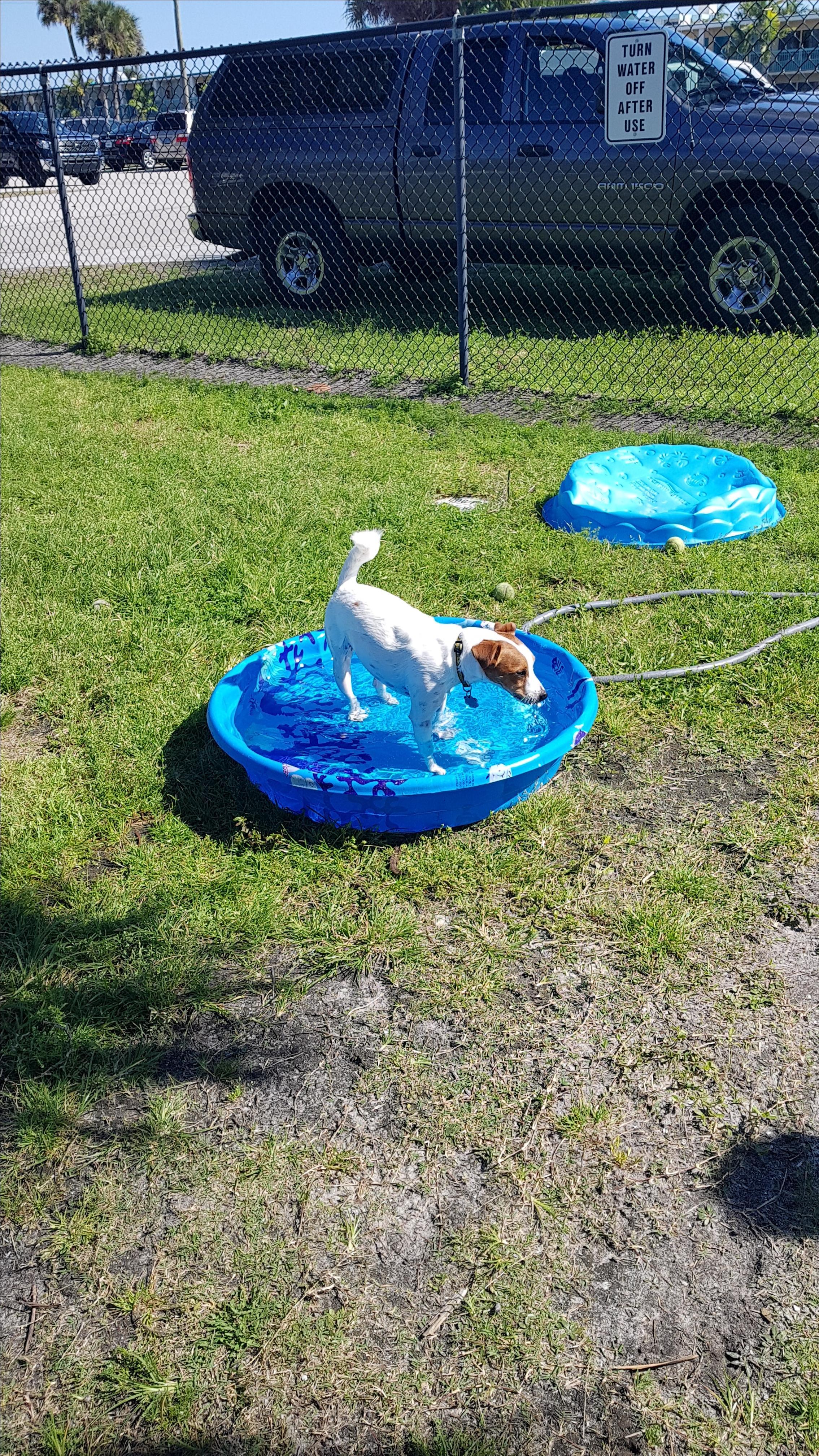 Lori Wilson Park Dog Park