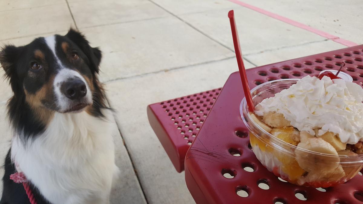 Bruster's Real Ice Cream restaurant view 1