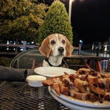 3 West Alehouse & Grill restaurant view 2