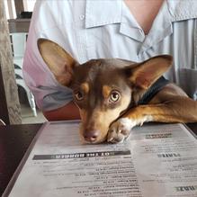 Haunted Hamburger restaurant view 9