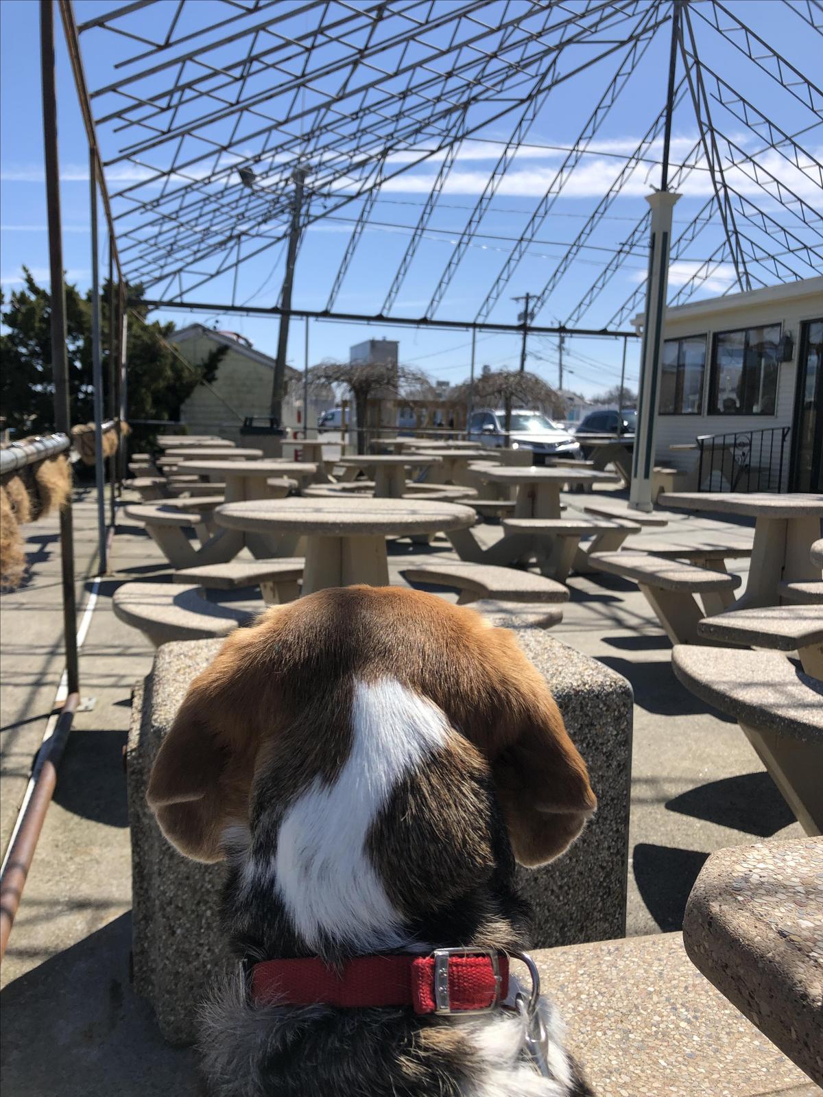 Lobster Hut restaurant view 6