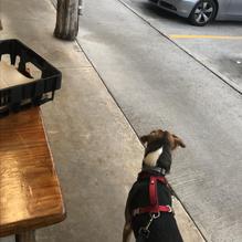 Rudy's Country Store & Bar-B-Q restaurant view 1