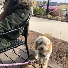 Dockside Market and Grill restaurant view 1