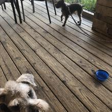 Rib Crib restaurant view 1