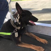 Barrow Brewing Company restaurant view 1