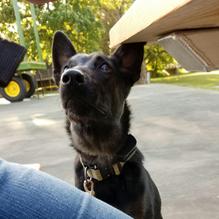 Barrow Brewing Company restaurant view 2