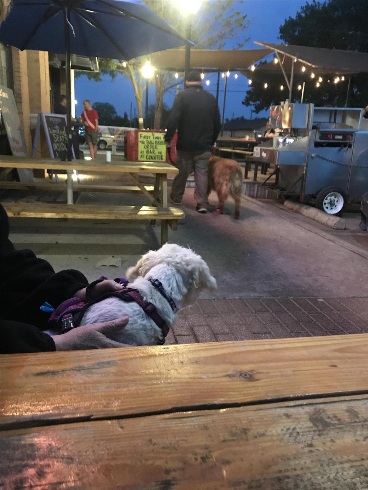 The Grease Monkey restaurant view 1