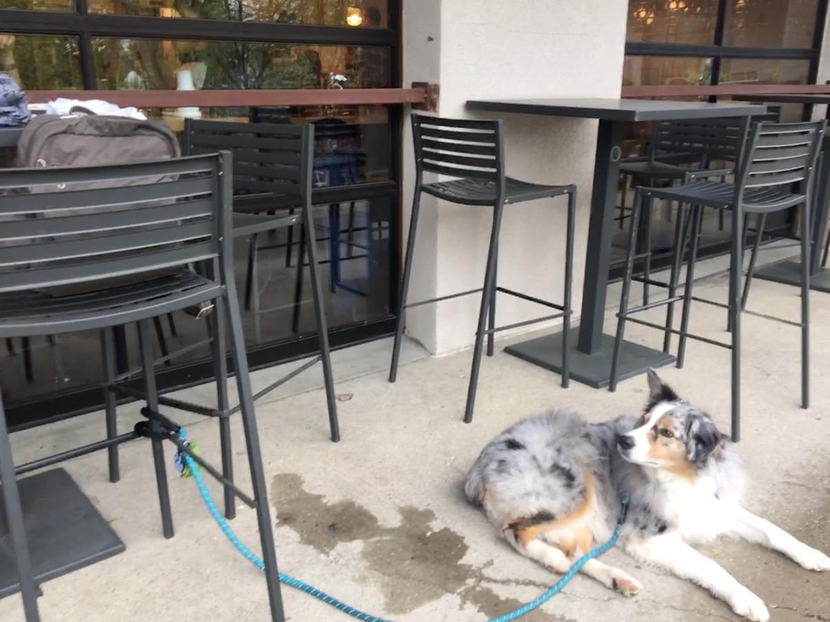 Steadfast Coffee restaurant view 1