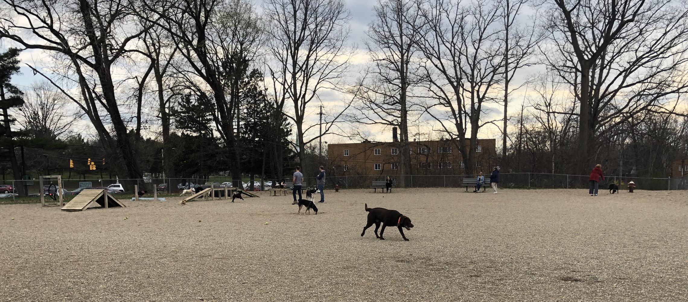 Dog Friendly South Euclid, OH
