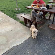 Friendship Brewing Company restaurant view 3