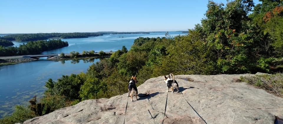 Dog Friendly Gananoque, ON