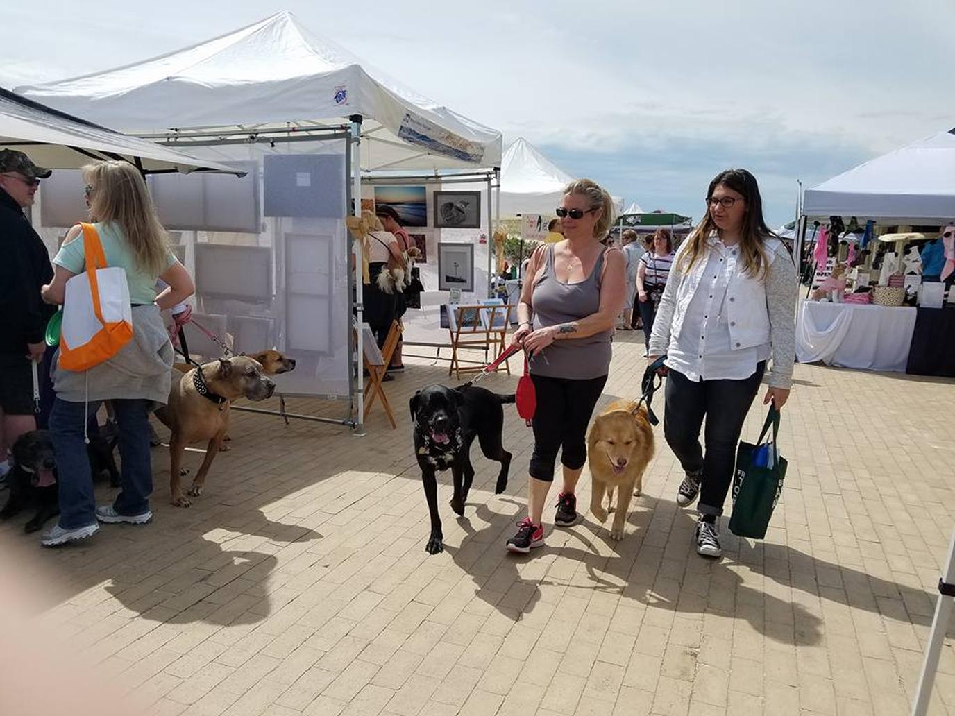 The May Day pet-friendly festival and expo takes place right on the beach.