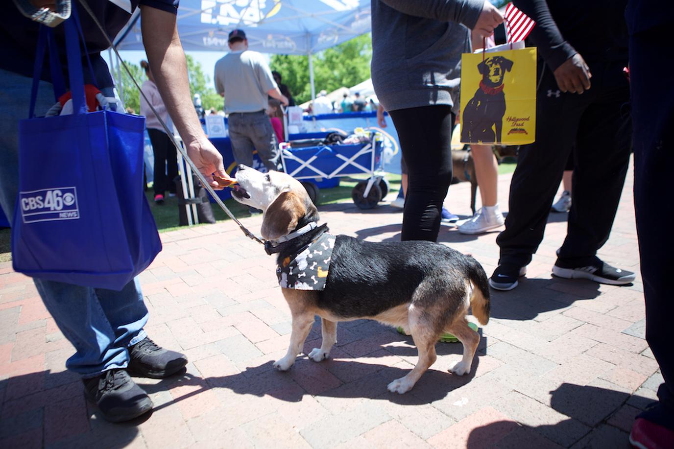 Atlanta's Largest Pet Party in the Park Woofstock is one of Atlanta's largest pet-friendly festivals.