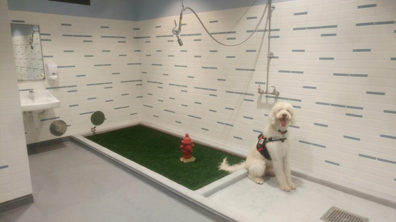“Paw”sengers can relieve themselves at SARAs inside ATL