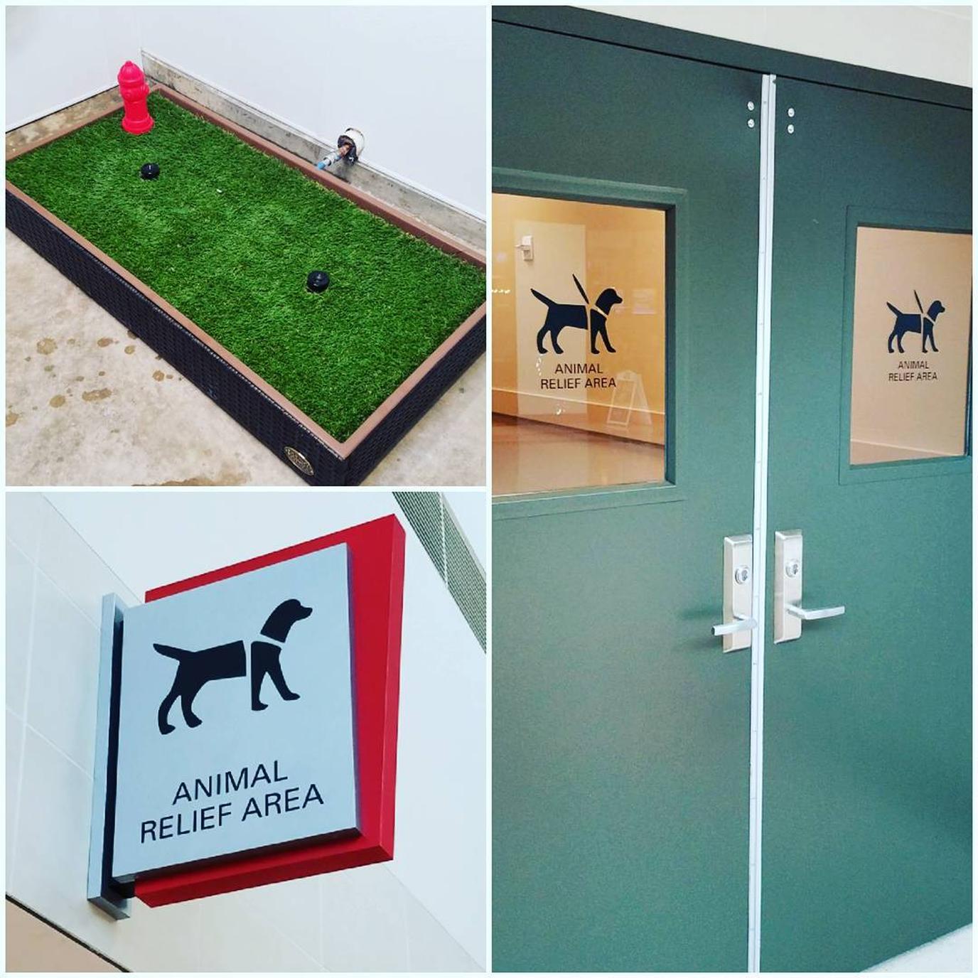 Dogs will love Dallas Love Field Airport’s indoor facilities. Dallas Love Field is one of two pet-friendly airports in Dallas.