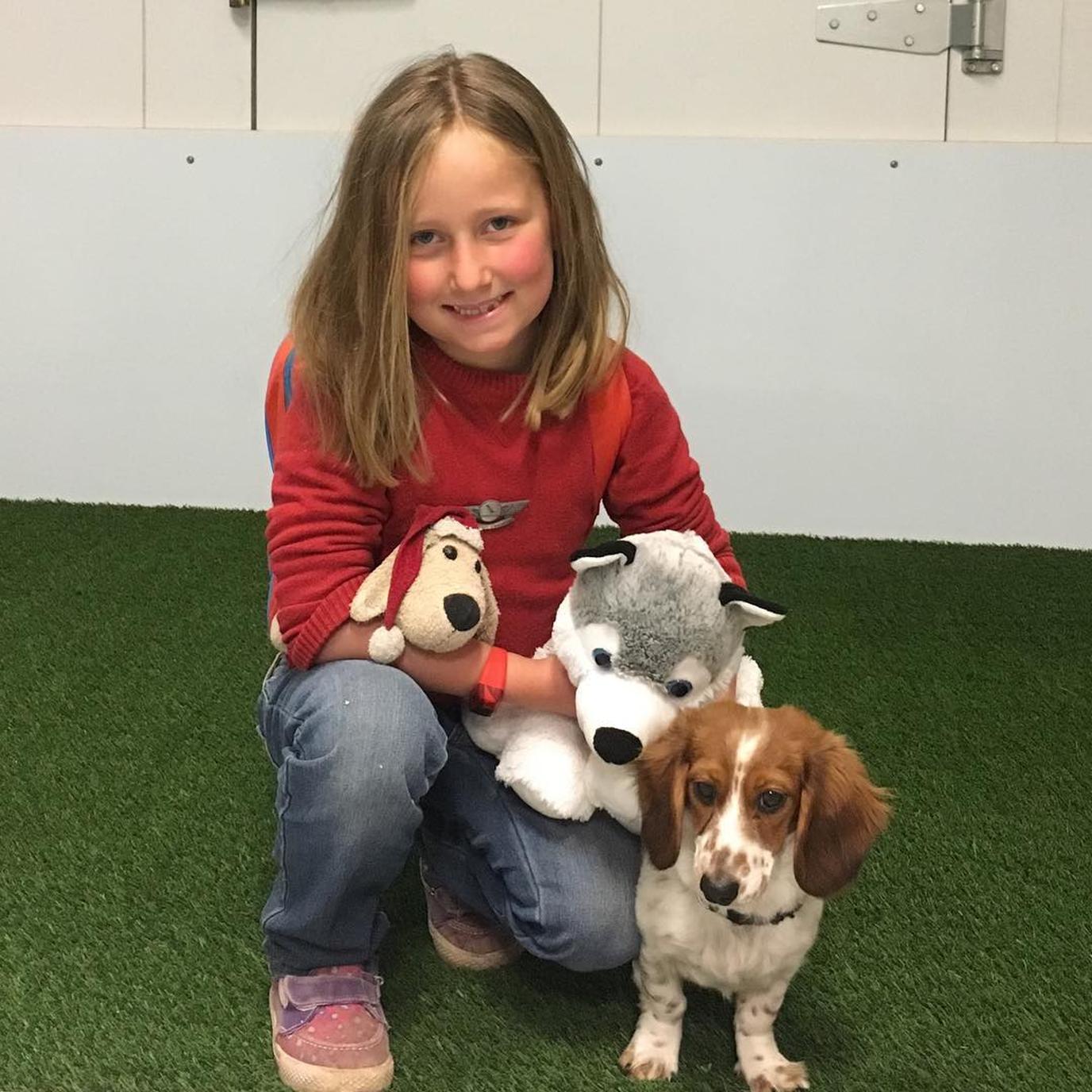 Dogs at DFW can use one of 4 indoor pet relief areas. DFW is a pet-friendly airport with 4 indoor pet relief areas.