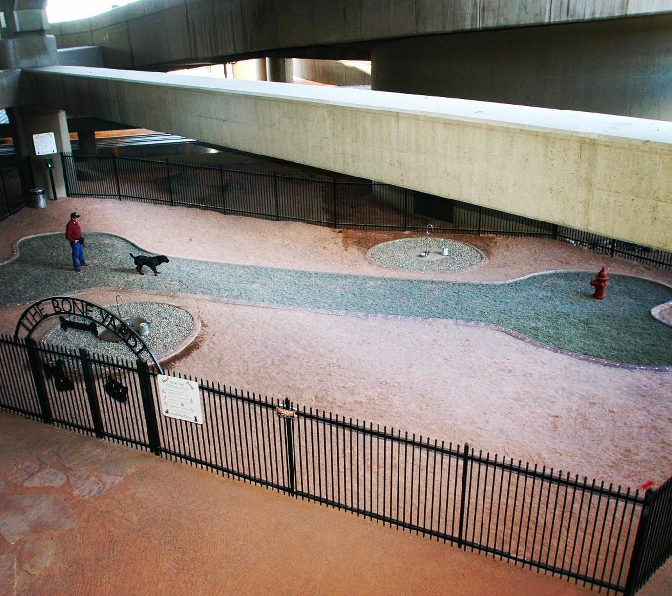 Play in The Bone Yard at PHX. This pet-friendly airport has nine pet relief areas!