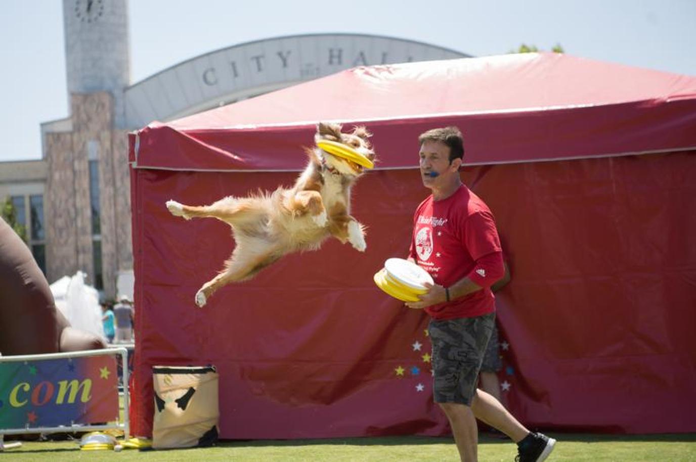 Woofstock is one of Atlanta's largest pet-friendly festivals.