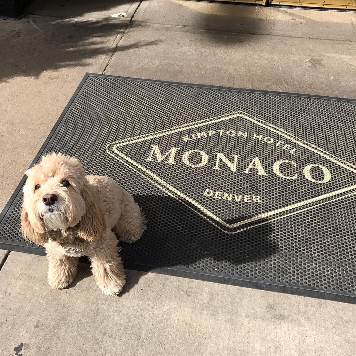 The Kimpton Hotel Monaco is pet friendly! The Kimpton Hotel Monaco is pet friendly!