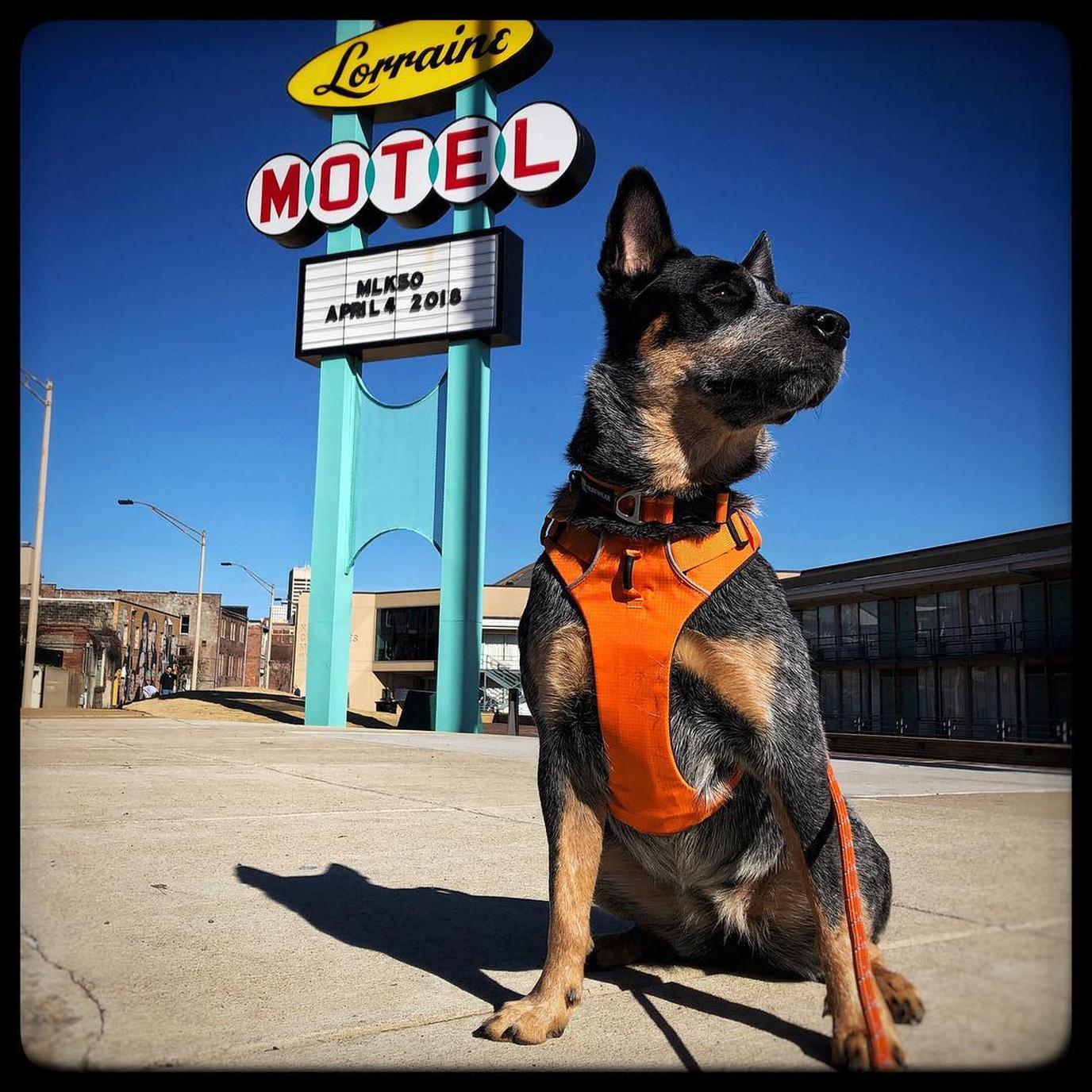 Walk to The Lorraine Motel to honor MLK's legacy