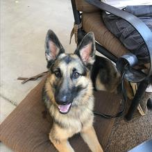 Clubhouse Grill restaurant view 3