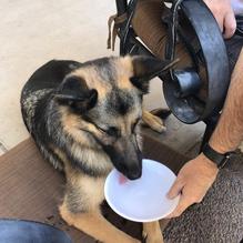 Clubhouse Grill restaurant view 1