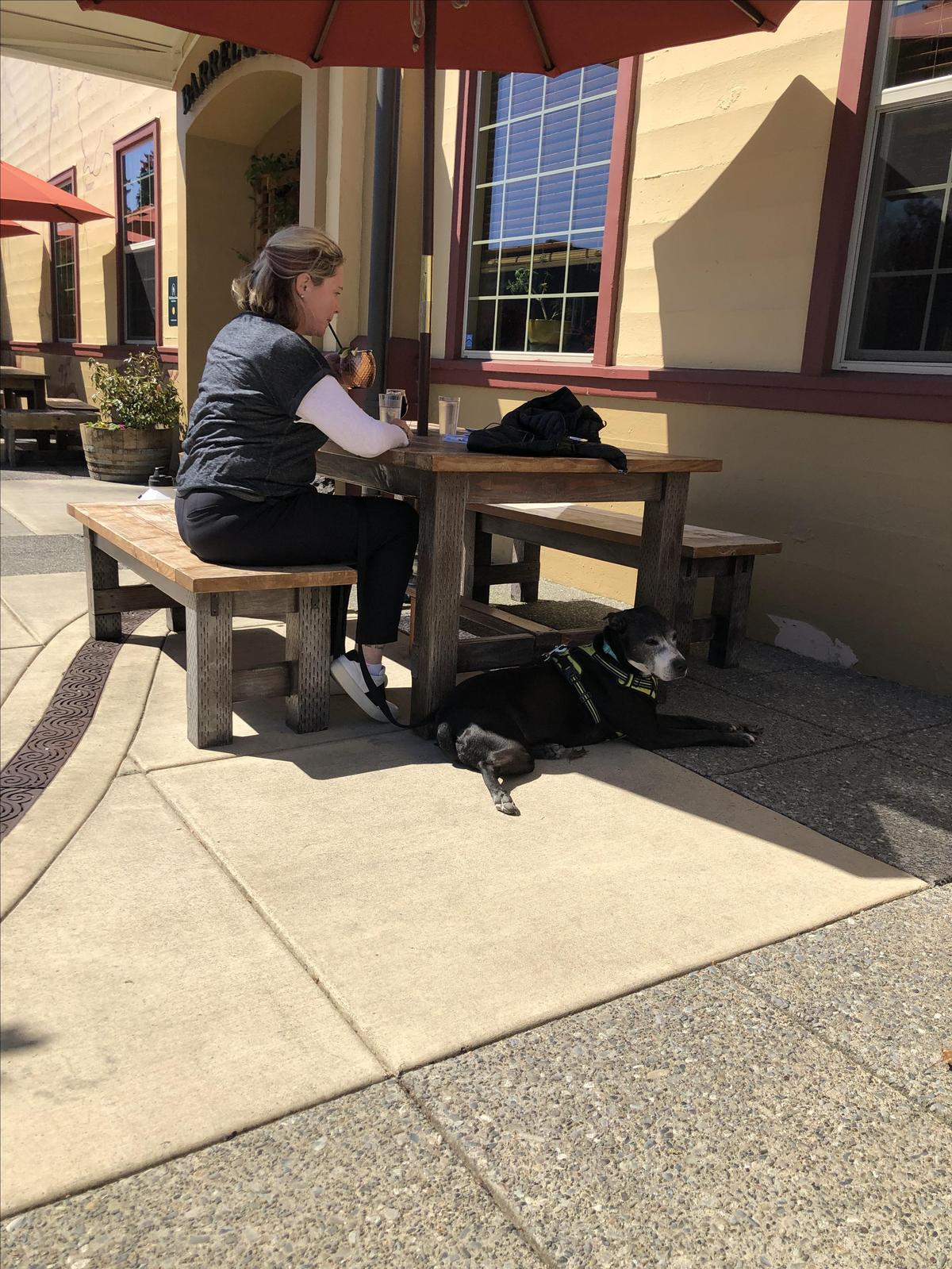 7 Devils Brewing Co. restaurant view 3