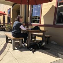 7 Devils Brewing Co. restaurant view 3