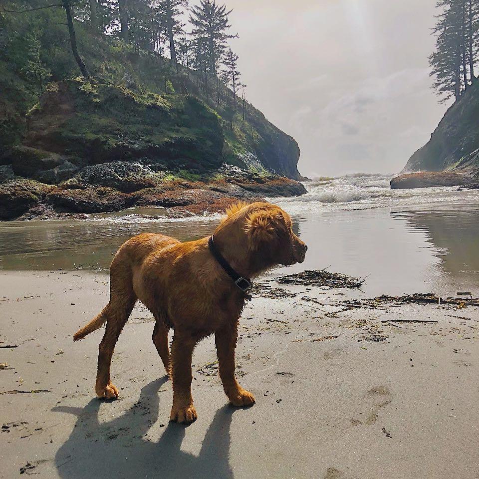 This guy isn't disappointed with Cape Disappointment State Park