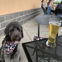 Buffalo Wild Wings restaurant view 1