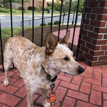 Three Brothers Italian Restaurant restaurant view 1