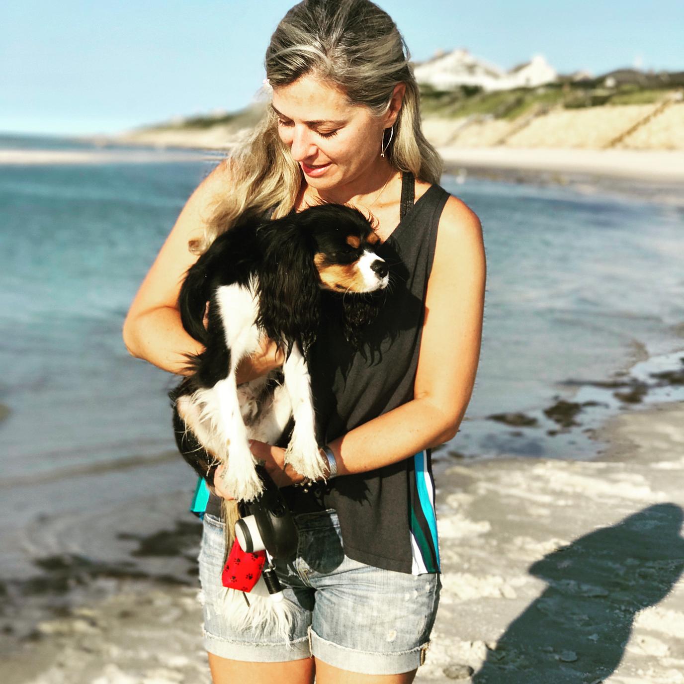 Dogs can play all day at Bay View Beach in Maine. Dogs can play all day at Bay View Beach in Maine.