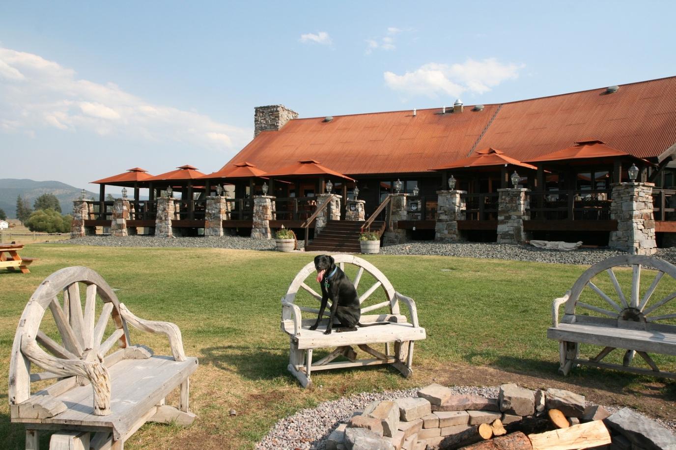 5 PetFriendly AllInclusive Resorts and Hotels