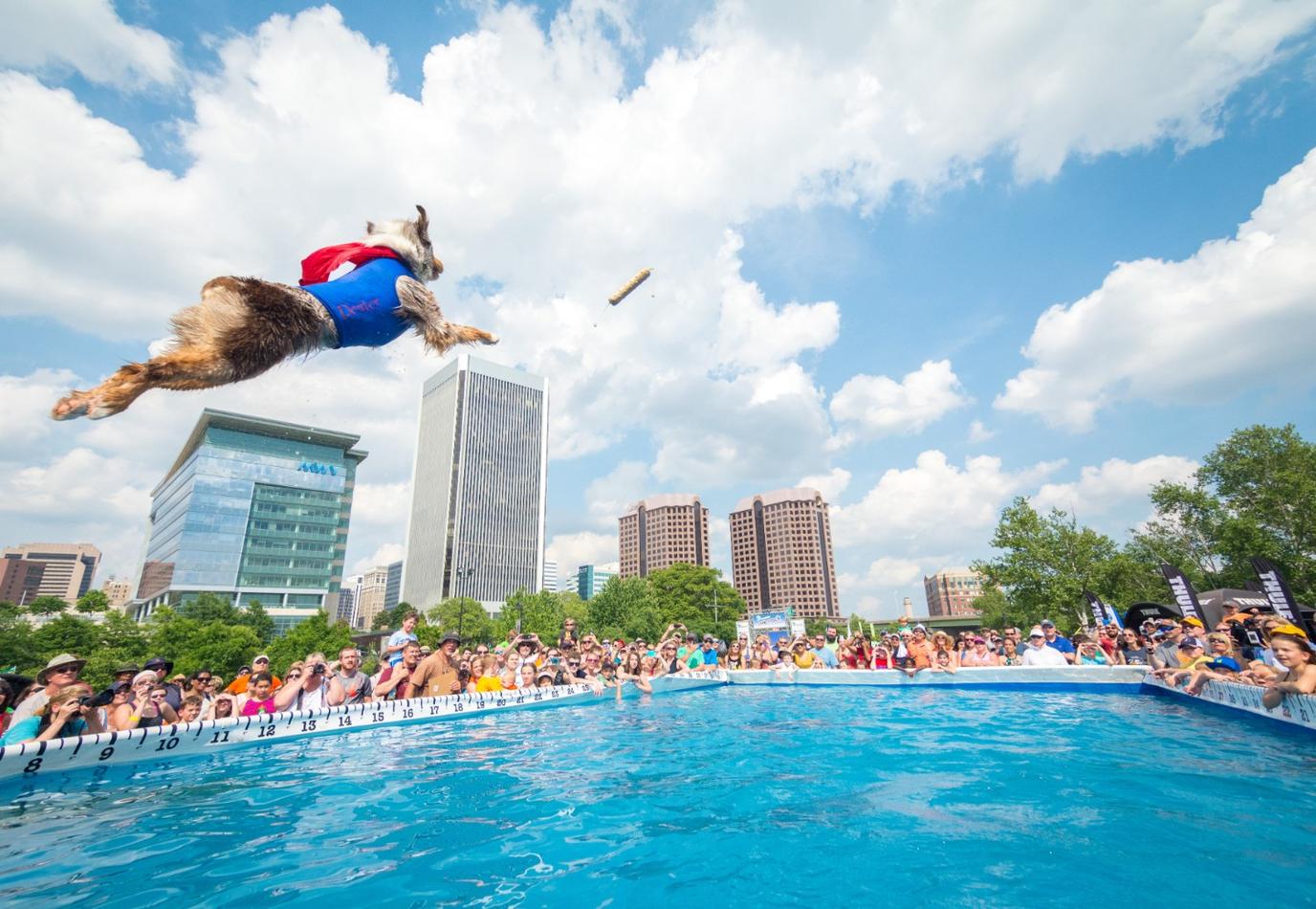 Dock jumping at Dominion Energy Riverrock Dock jumping dogs are part of the fun at Dominion Energy Riverrock.