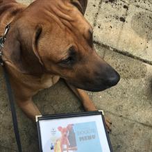 Tun Tavern Restaurant & Brewery restaurant view 13